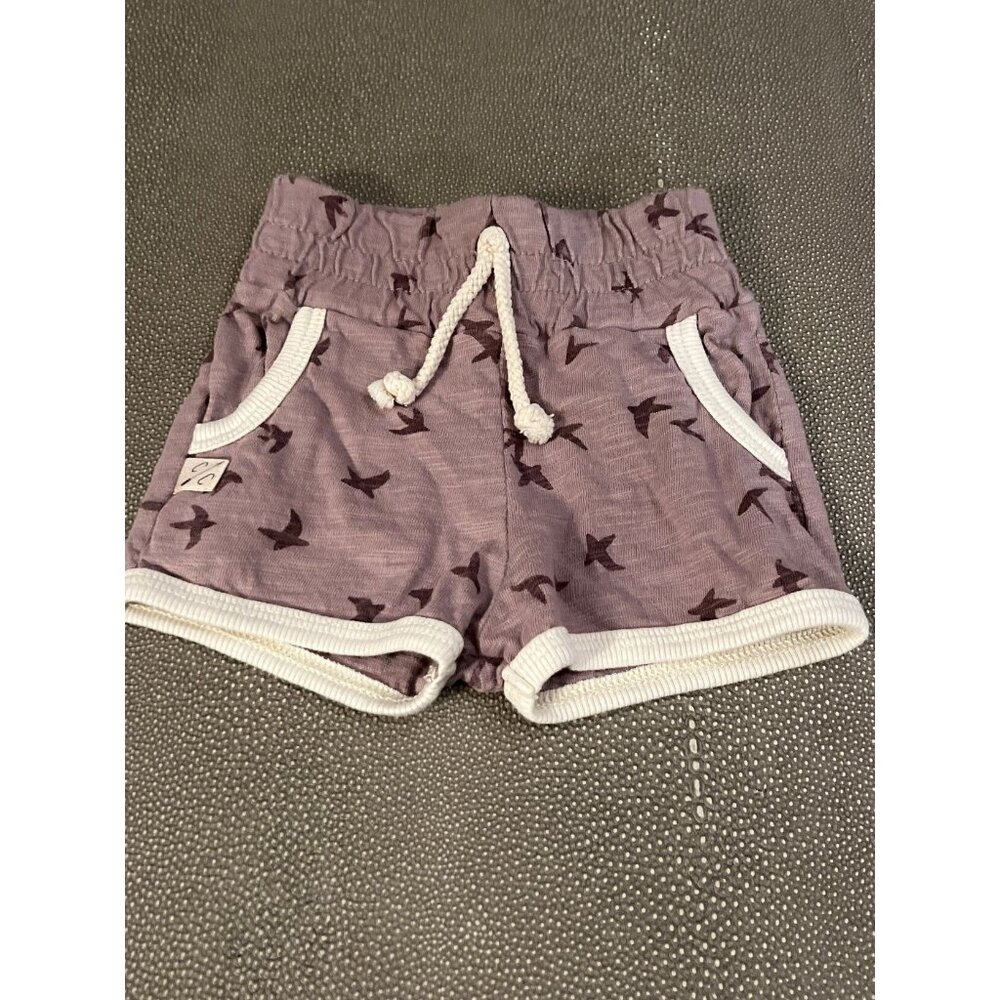 Childhoods 3/6 Retro Birds On Purple EUC